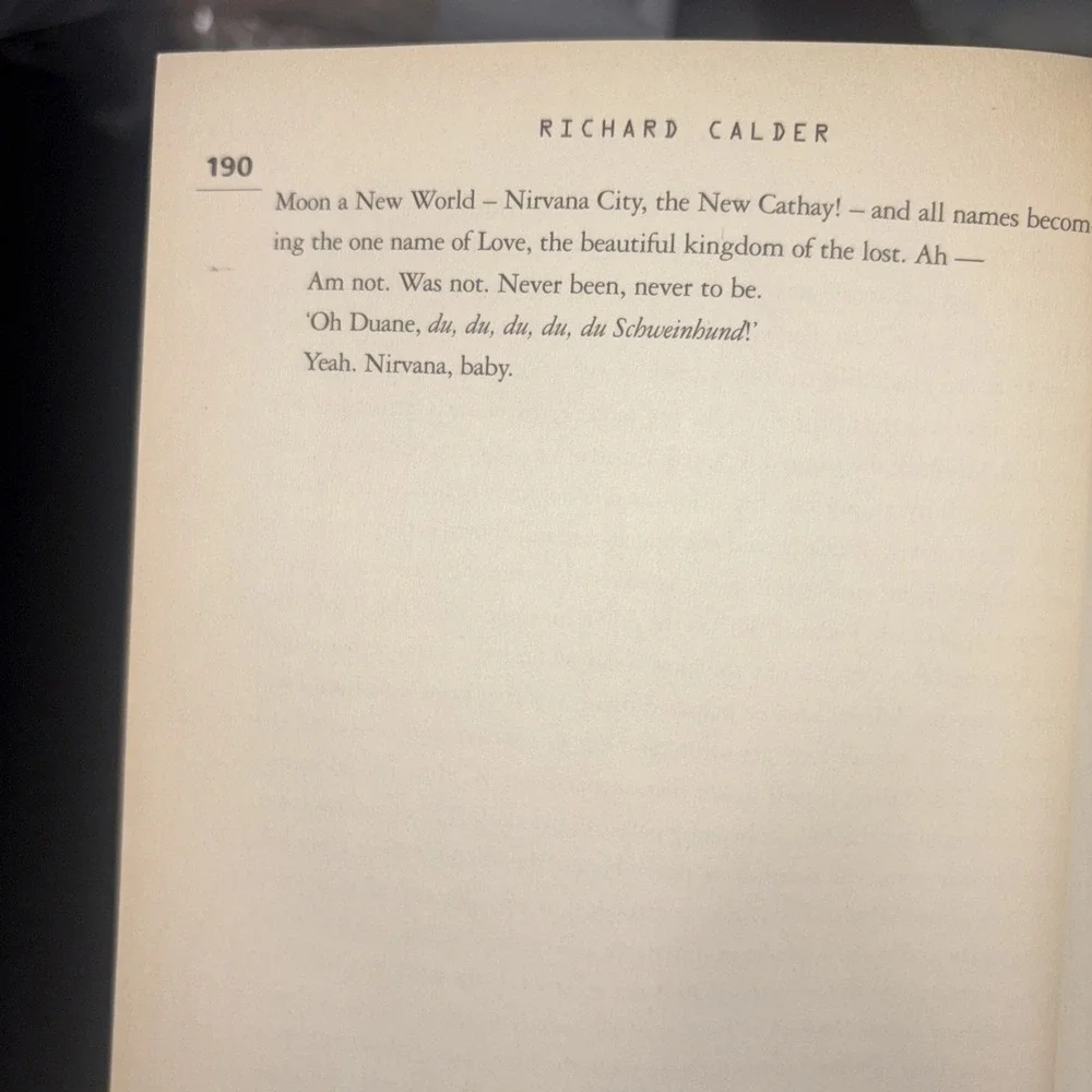 Frenzetta by Richard Calder (2002, Trade Paperback)